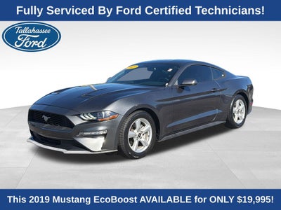 2019 Ford Mustang EcoBoost