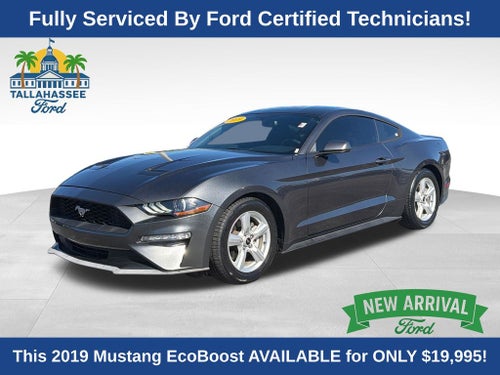 2019 Ford Mustang EcoBoost