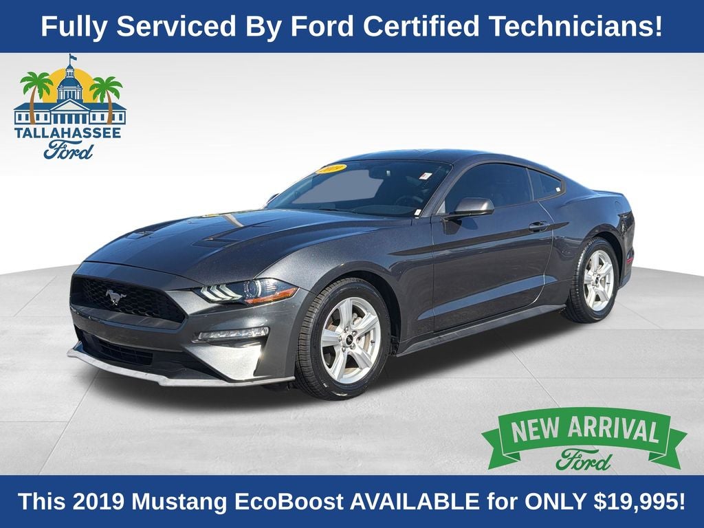 2019 Ford Mustang EcoBoost