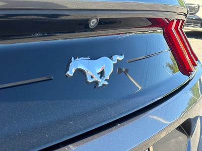 2019 Ford Mustang EcoBoost