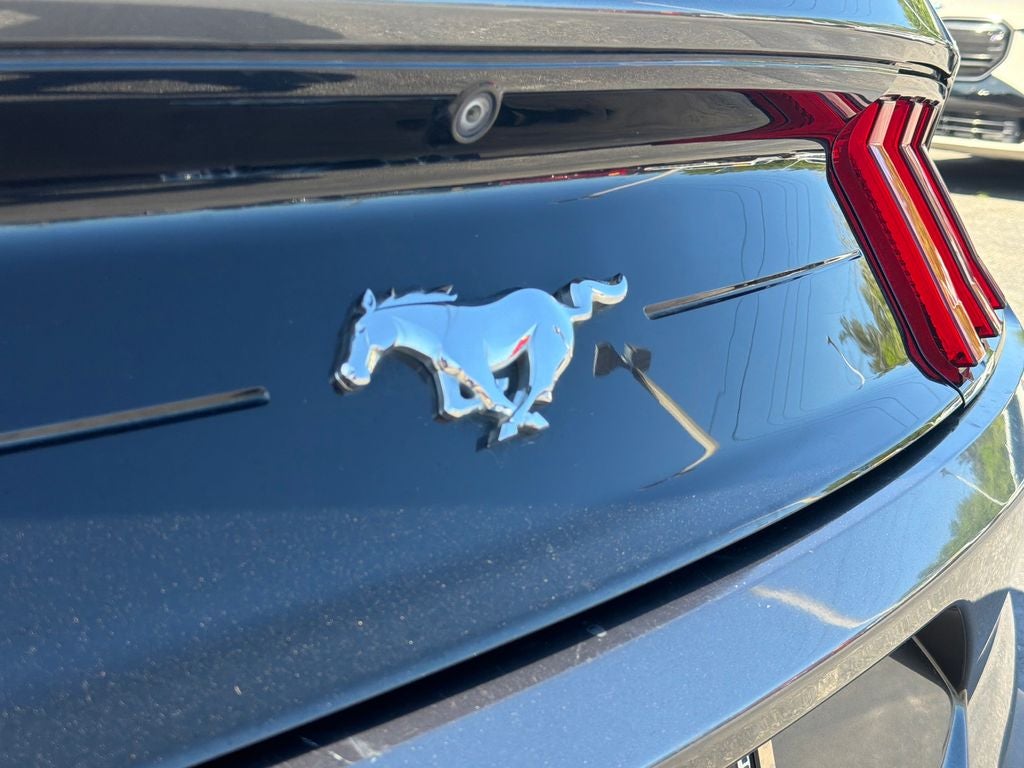 2019 Ford Mustang EcoBoost