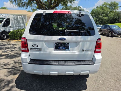 2008 Ford Escape XLT