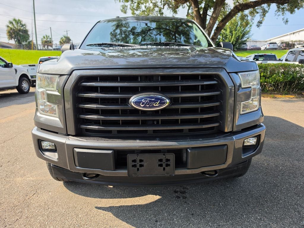Photo 43