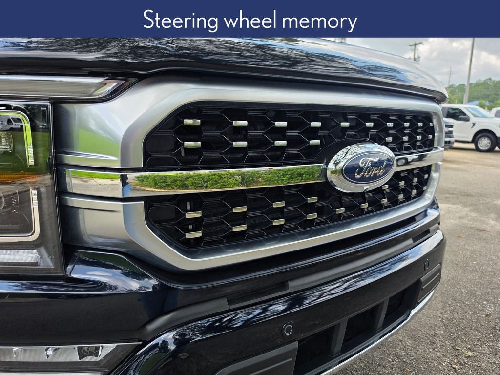 2021 Ford F-150 Platinum