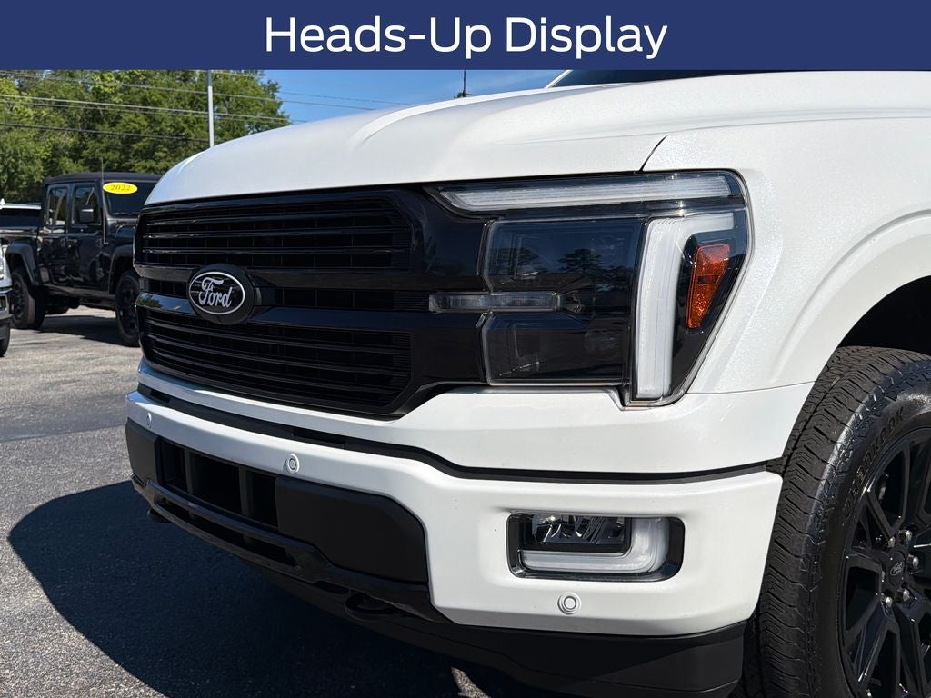2024 Ford F-150 Platinum